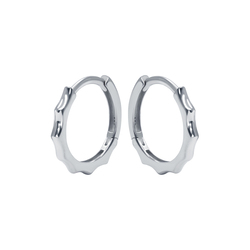 Silver Hoop Earring HO-2415